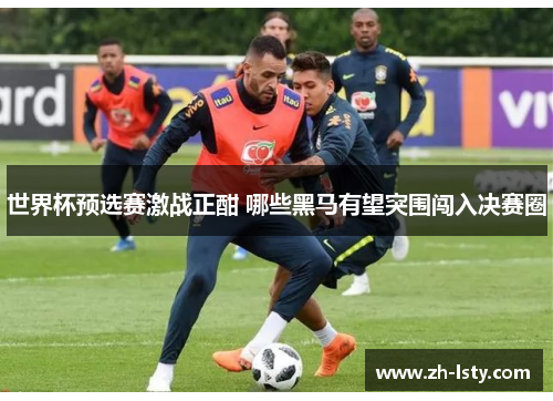 世界杯预选赛激战正酣 哪些黑马有望突围闯入决赛圈