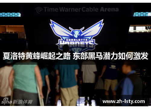夏洛特黄蜂崛起之路 东部黑马潜力如何激发