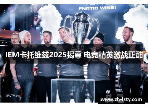 IEM卡托维兹2025揭幕 电竞精英激战正酣