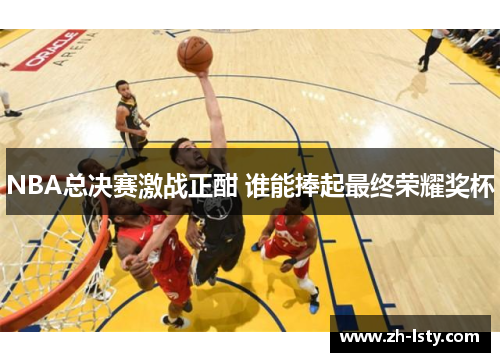 NBA总决赛激战正酣 谁能捧起最终荣耀奖杯