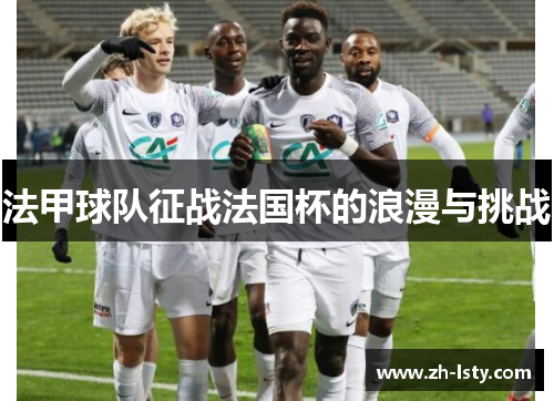 法甲球队征战法国杯的浪漫与挑战